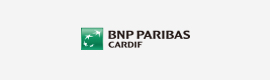 Bnp paribas 로고